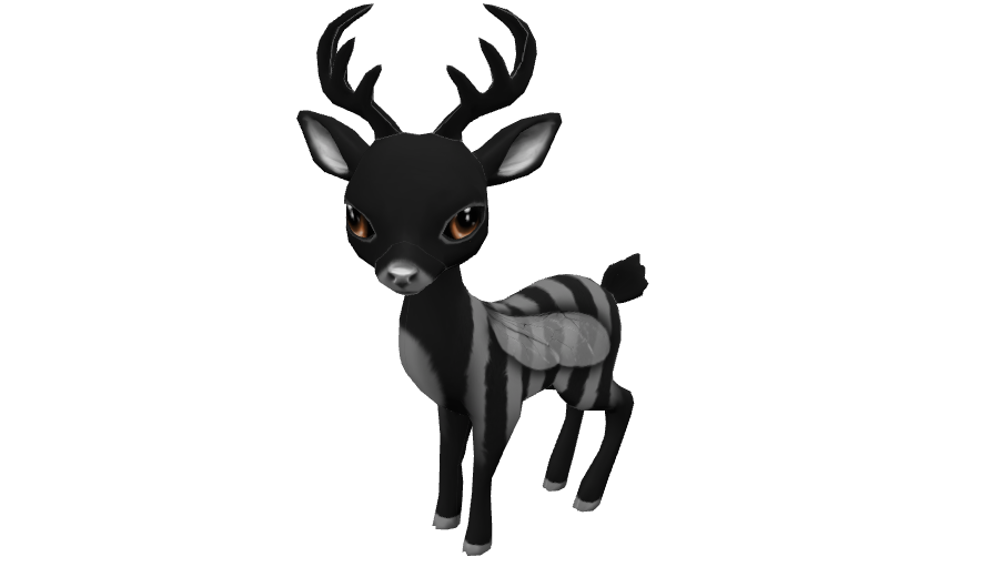 Nocturnesweety
