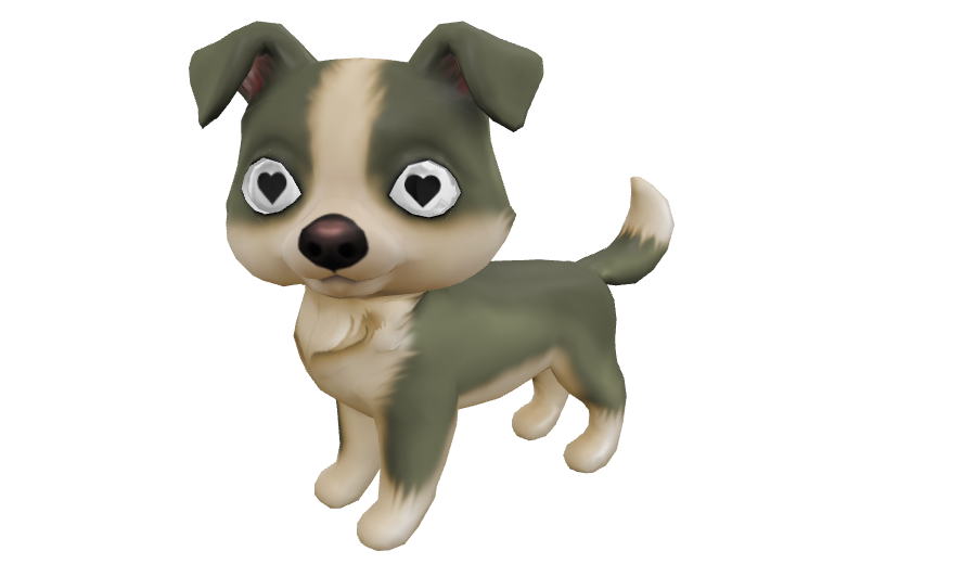 Canine F sunrise of